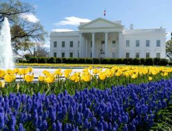 OPINI: Penutupan Pemerintah AS dan Langkah Antisipasi RI