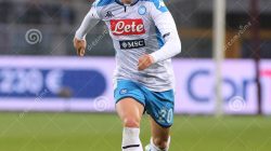 Torino vs Napoli: Prediksi Jitu Serie A